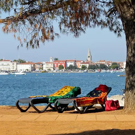 Zbandaj 14154b